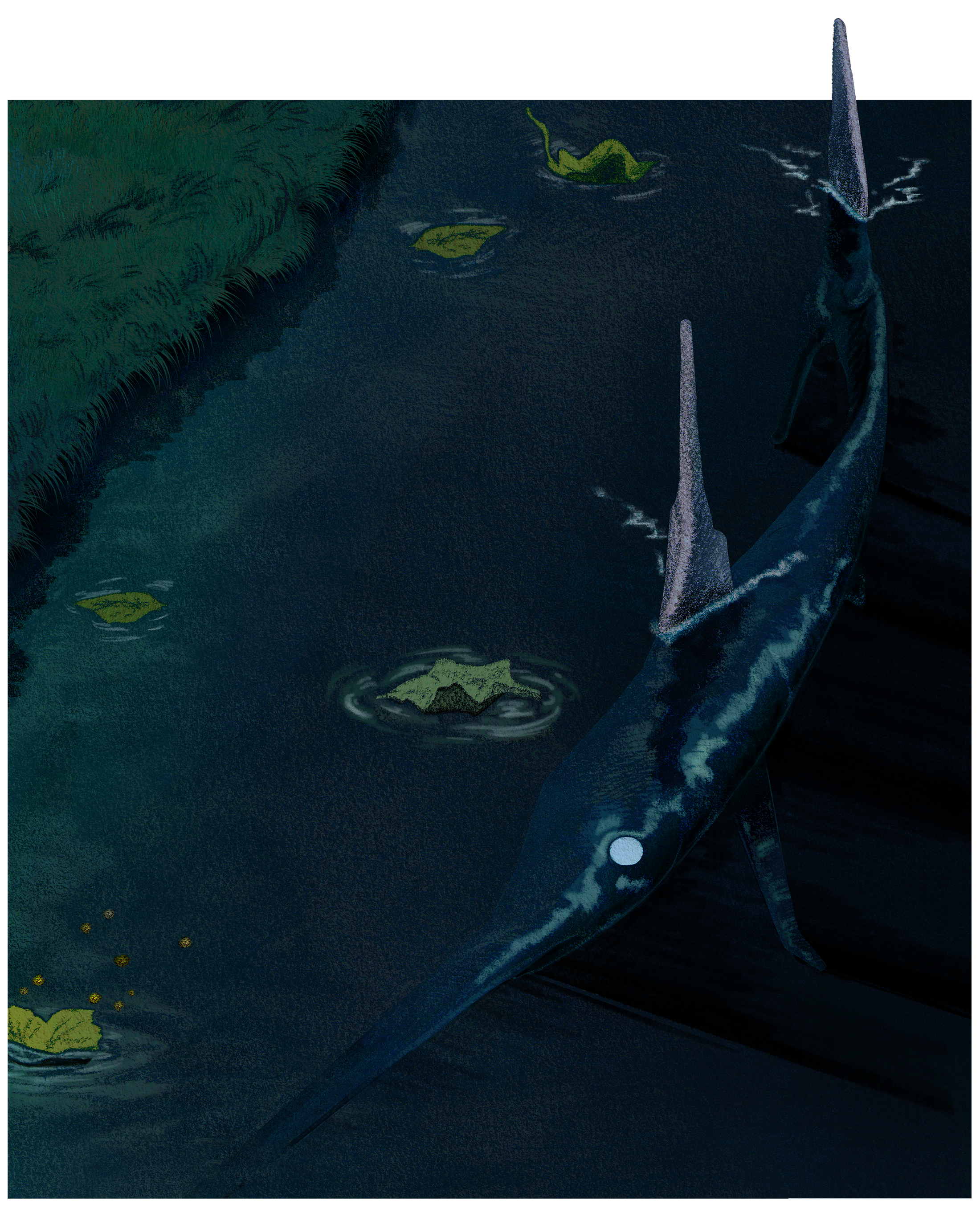 logo_swordfish_2